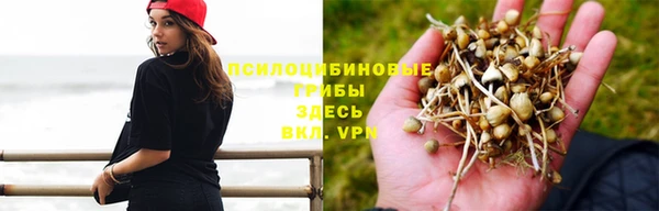 каннабис Алзамай