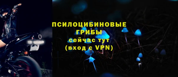 a pvp Алексеевка