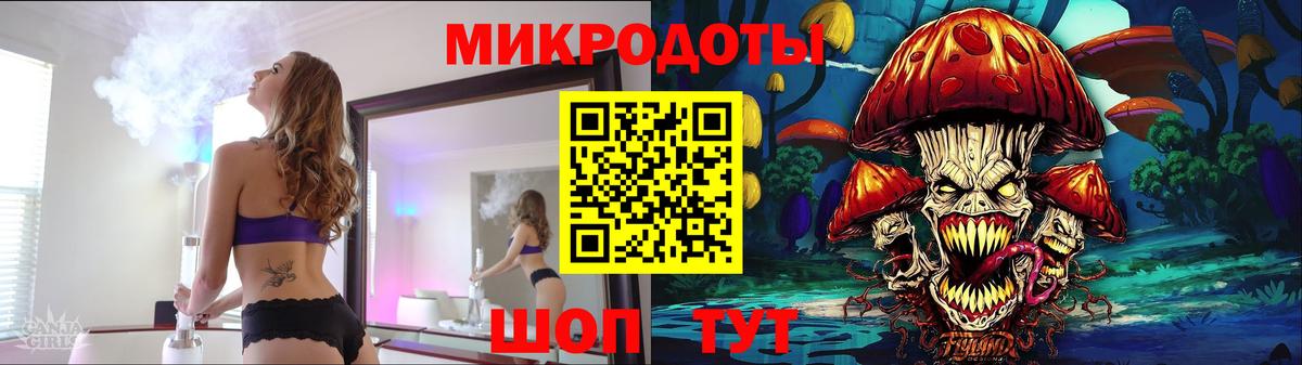 Псилоцибиновые грибы Psilocybe Белебей