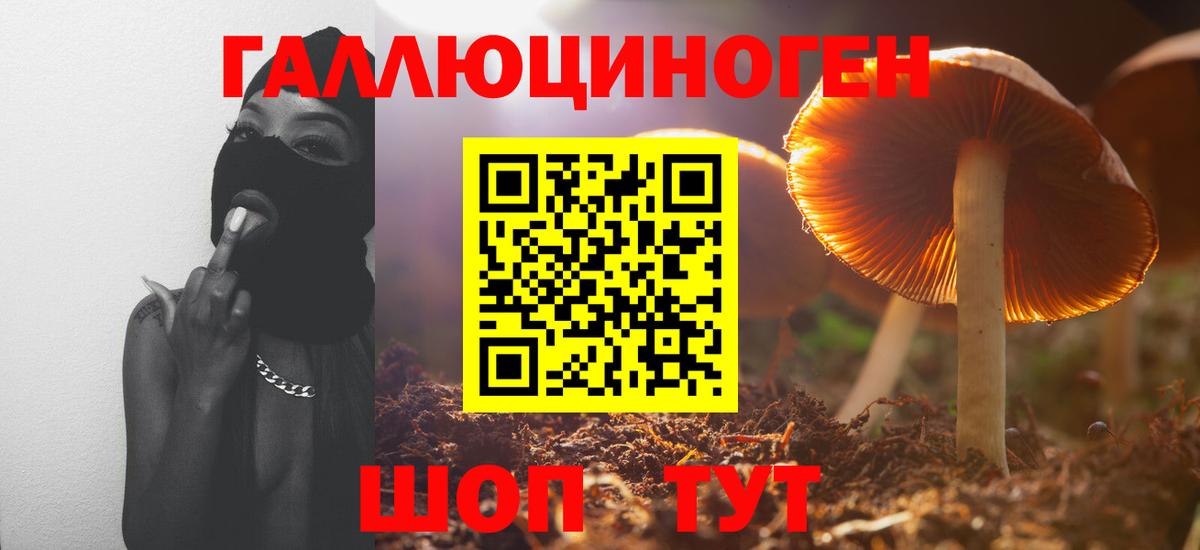 Псилоцибиновые грибы мицелий  Галлюциногенные грибы Psilocybine cubensis  Белебей  Вход с VPN 